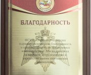 Плакетка для Расгвардии