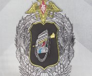 Плакетка министерства обороны